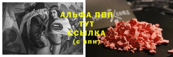 ПСИЛОЦИБИНОВЫЕ ГРИБЫ Богородицк